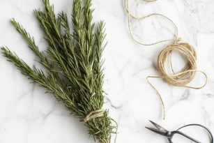 10 Bitter Foods to Try Today to Improve Digestion | Nutrition Stripped