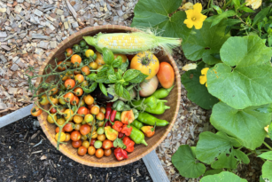 Mindful Eating and Sustainability: How Choosing Your Food Mindfully Can Benefit the Environment