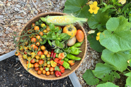 Mindful Eating and Sustainability: How Choosing Your Food Mindfully Can Benefit the Environment