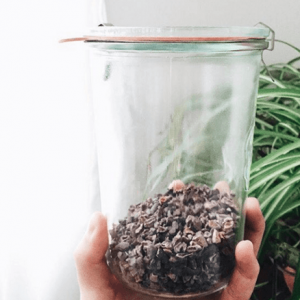 The 411: What Happened in Wellness This Week | Nutrition Stripped