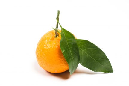 What To Know About Disordered Eating Habits & Eating Disorders