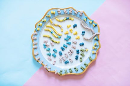 Healthy Low Sugar Gummy Candies | Nutrition Stripped