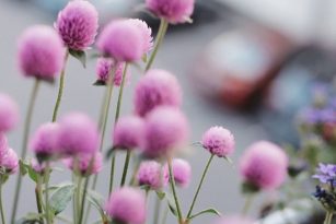 How to Prioritize Yourself Even When You