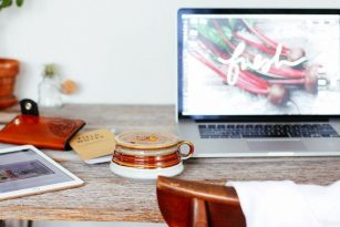 medicinal mushroom tincture