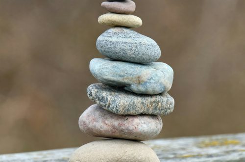 quick plant-based nutrition wellness diet - Complete Guide