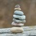 quick plant-based nutrition wellness diet - Complete Guide