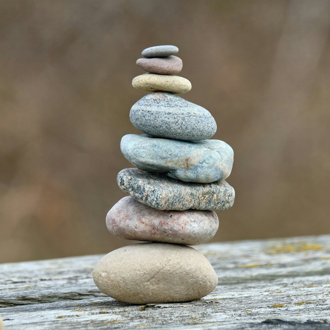 quick plant-based nutrition wellness diet - Complete Guide